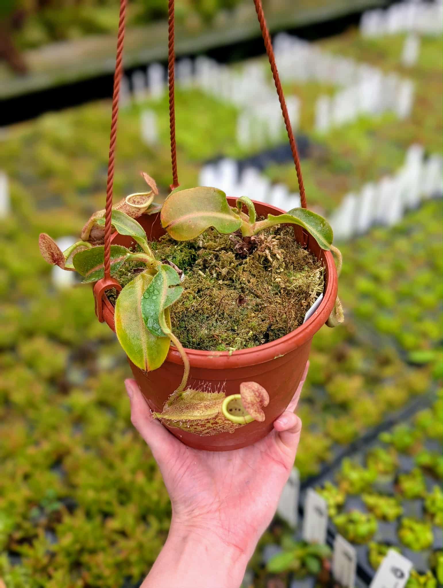 044bfe22-c7b5-433d-8e02-d871f17cc21b