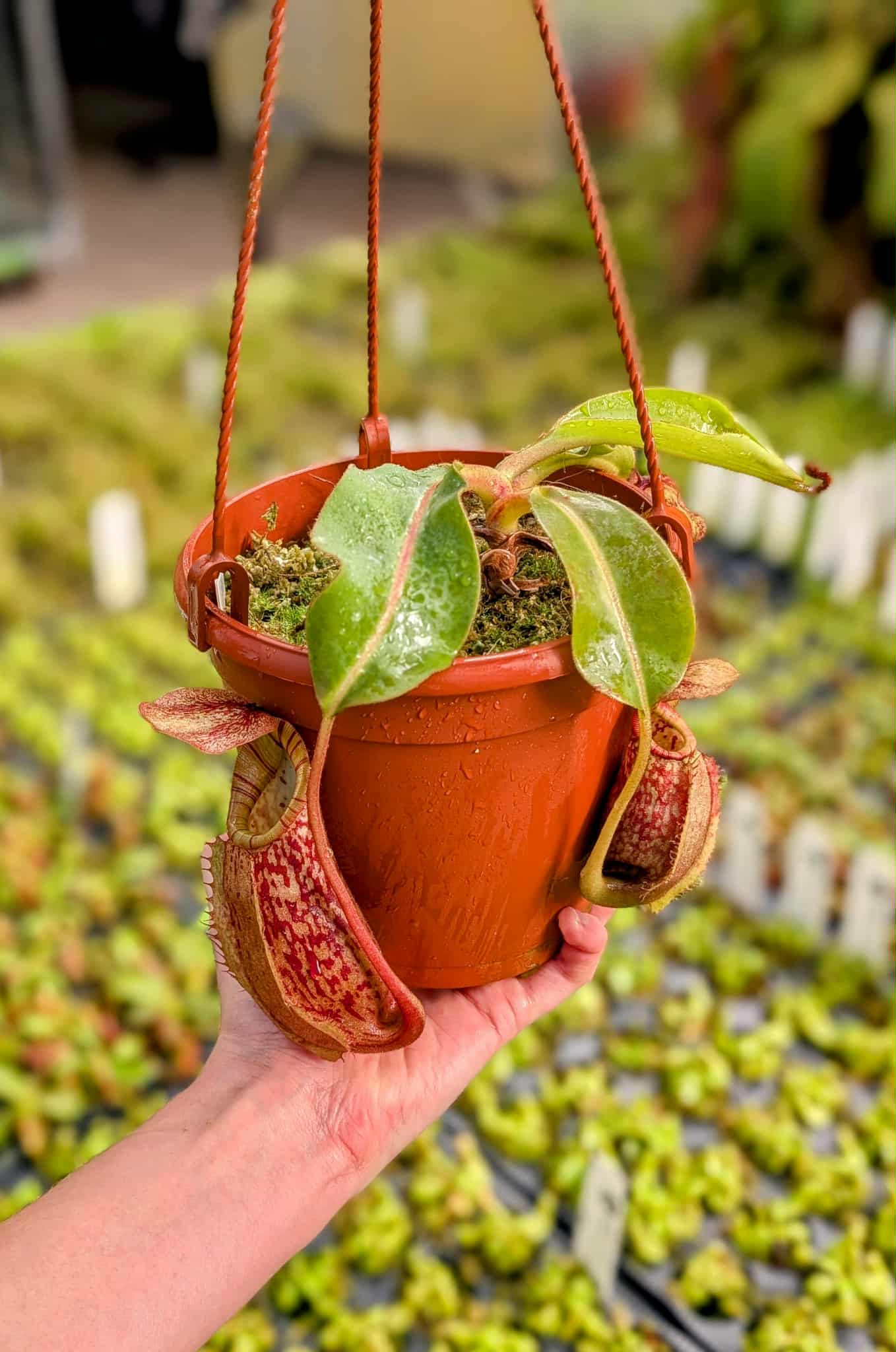 062d060d-4e5c-4020-a90c-b90505e4da29