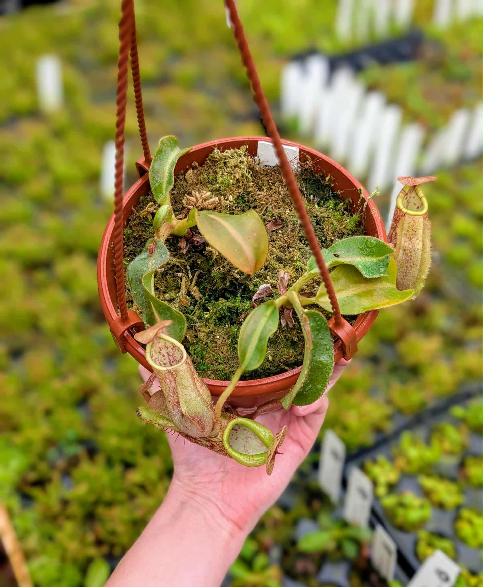 182a617f-49eb-4ba7-bb1d-fcbfd49a322c