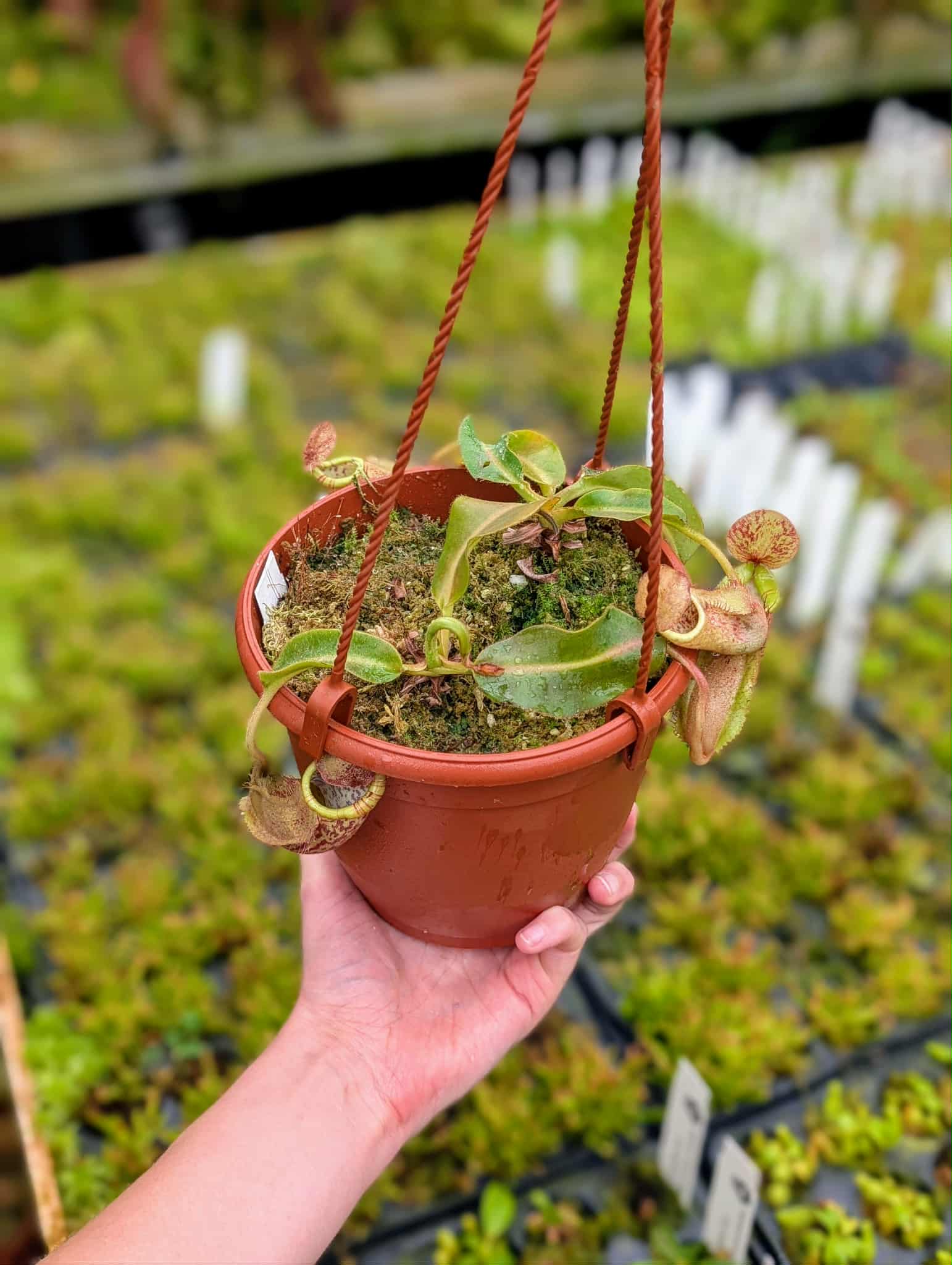 1ff787ac-452a-4a28-8a8c-7f22edf1b8cd