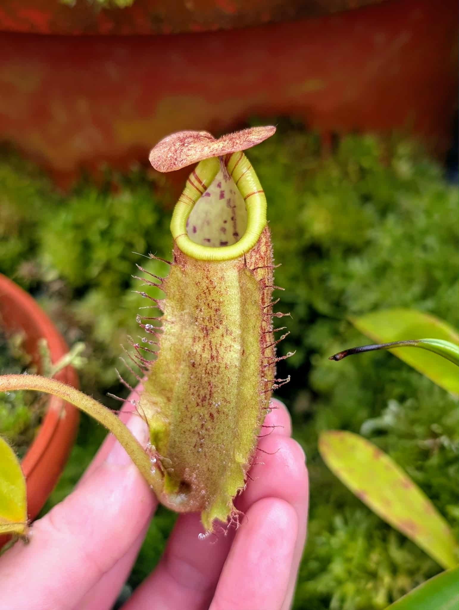 2150d32b-537c-48d6-8274-ddebb3d57d04