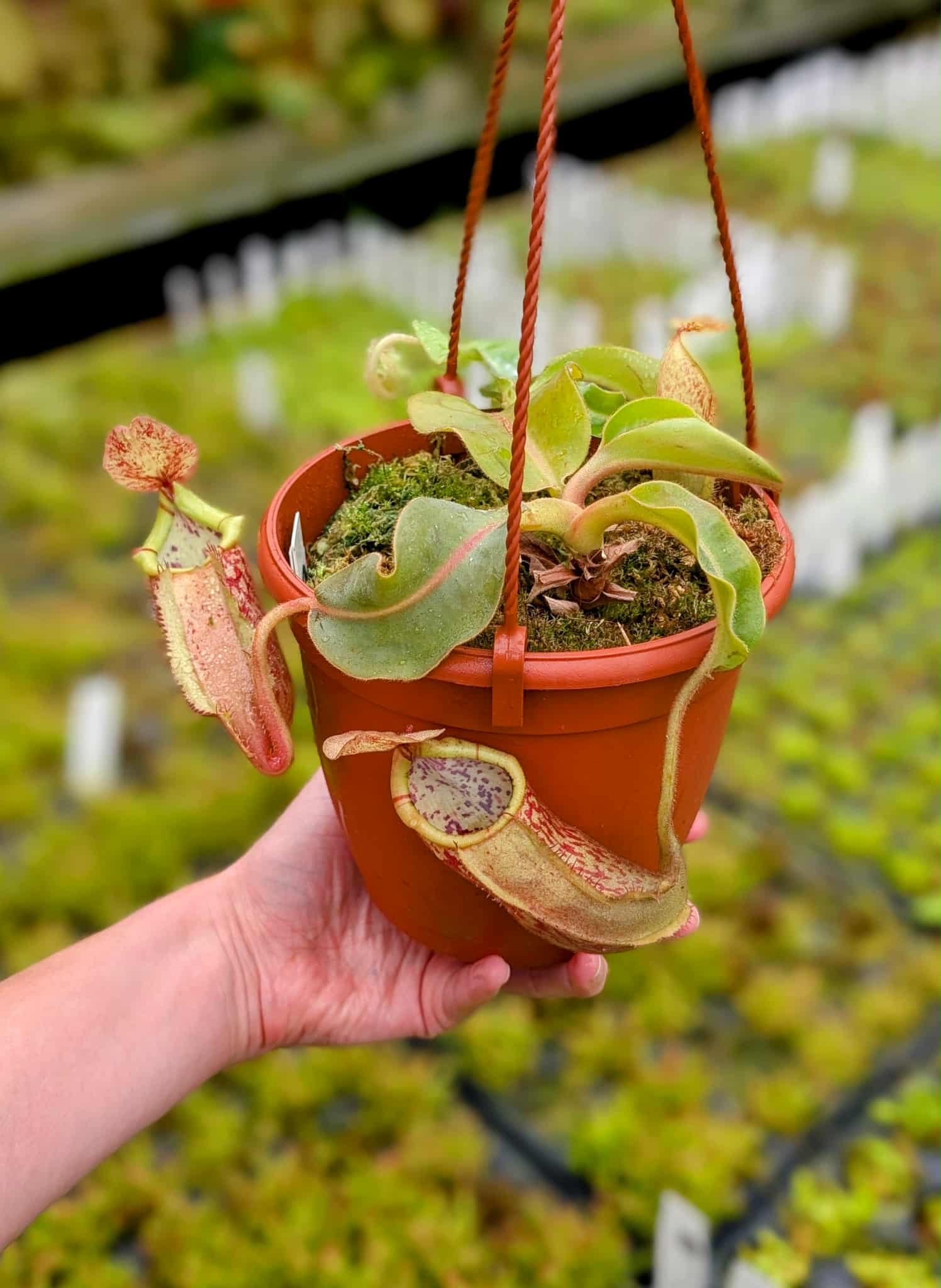 23f32ee0-2797-46fa-9b5b-c359975e4235