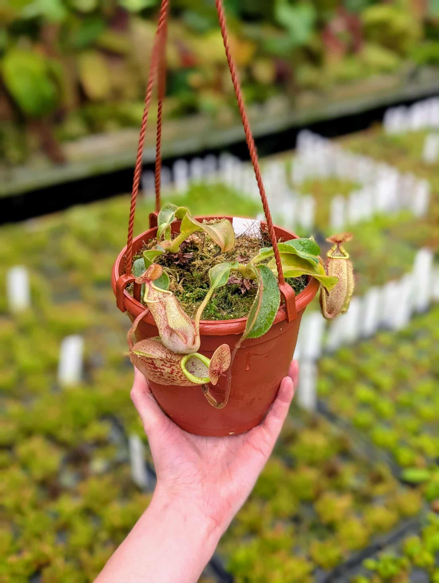 26e7bc31-4bea-461e-afe2-121756315000