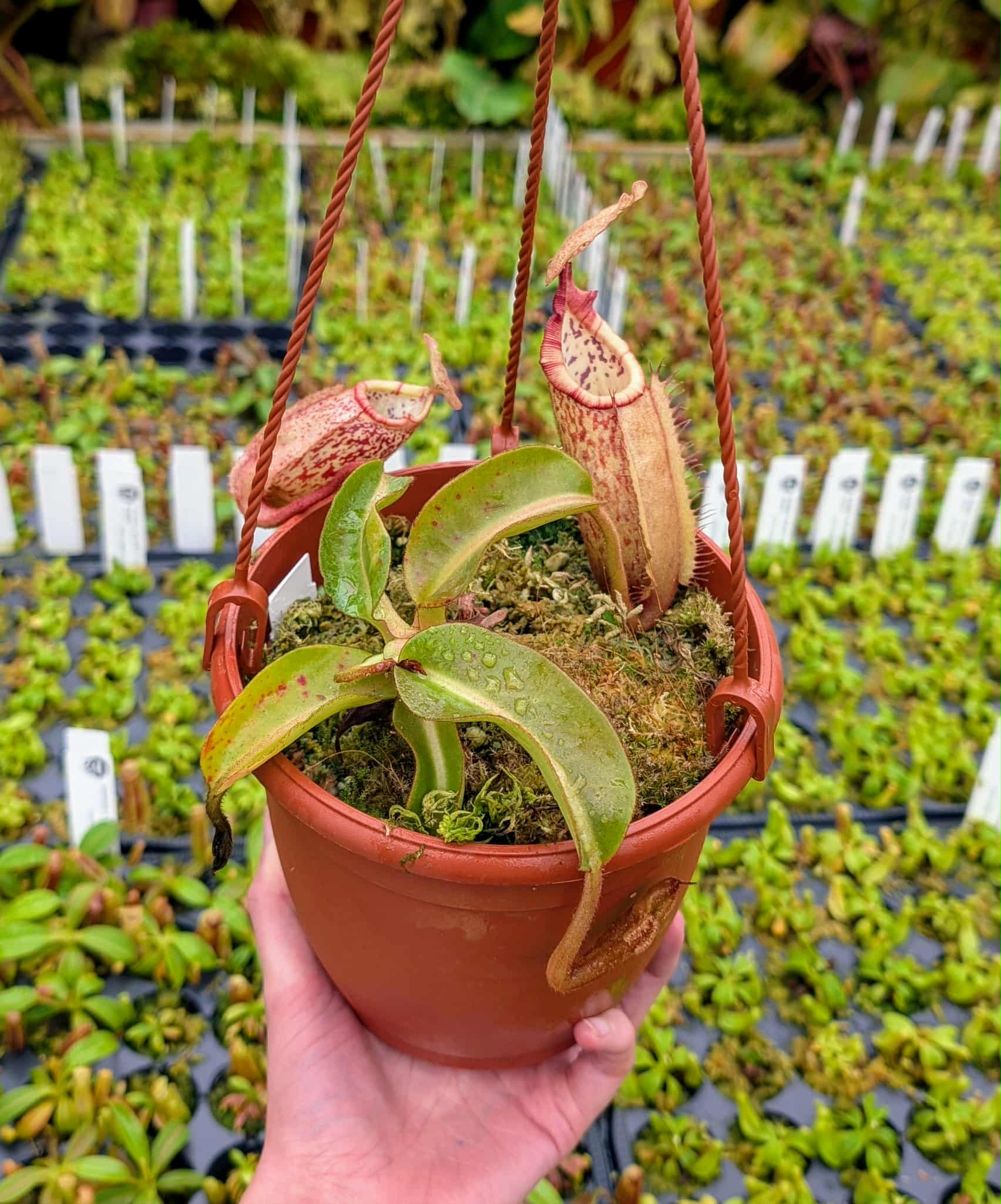 2eec851b-0158-453c-9788-04457364700e