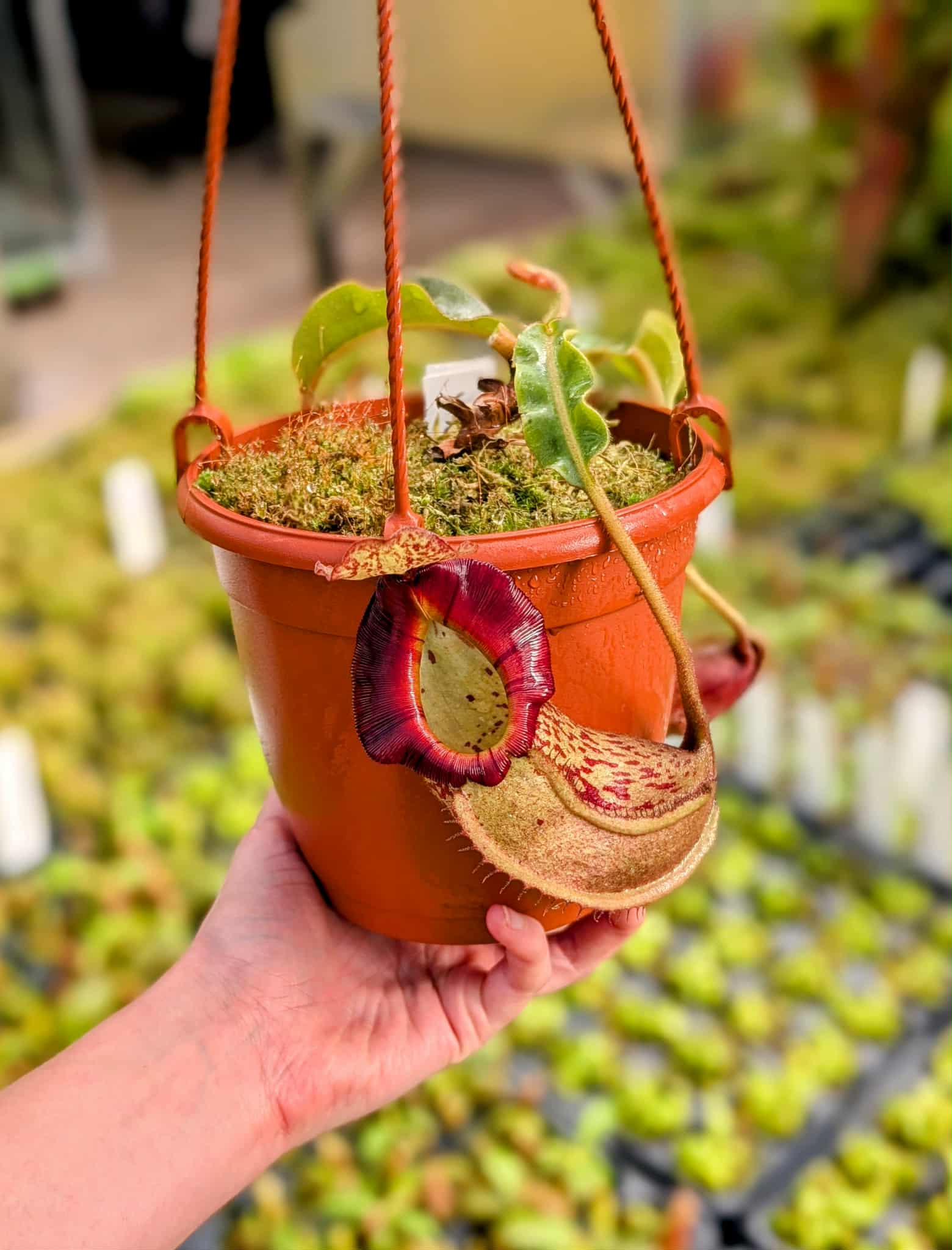 4d153199-bc27-449d-9fbb-bf63068a4333