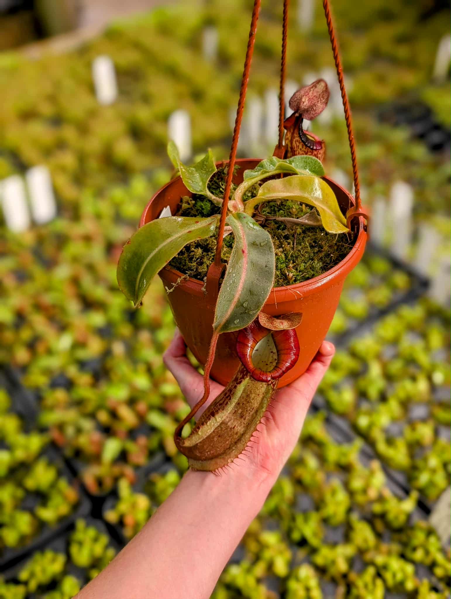 76e29186-f2f9-47f5-9f96-16a4763c2e8a