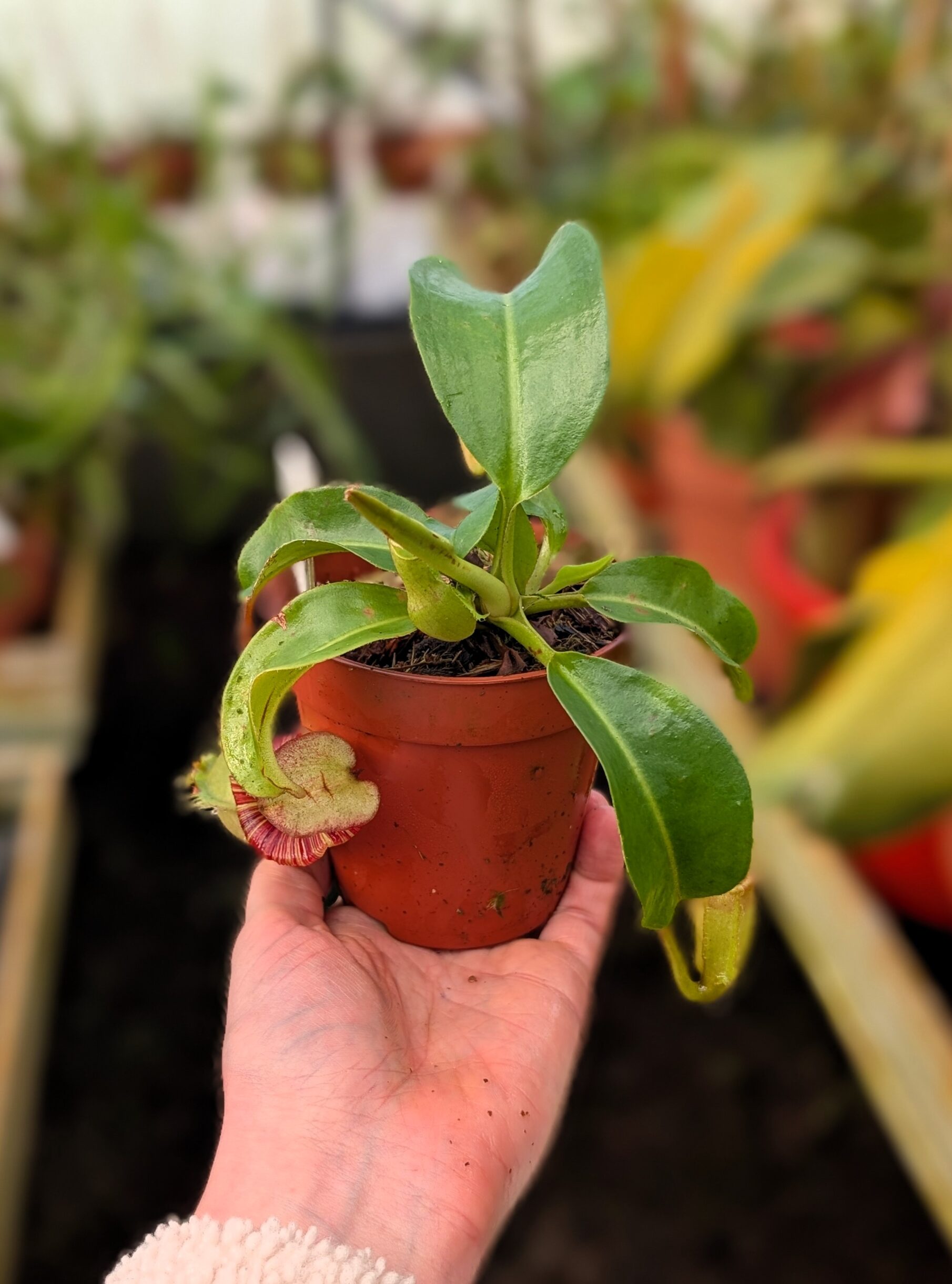 PXL_20260226_100513809.PORTRAIT