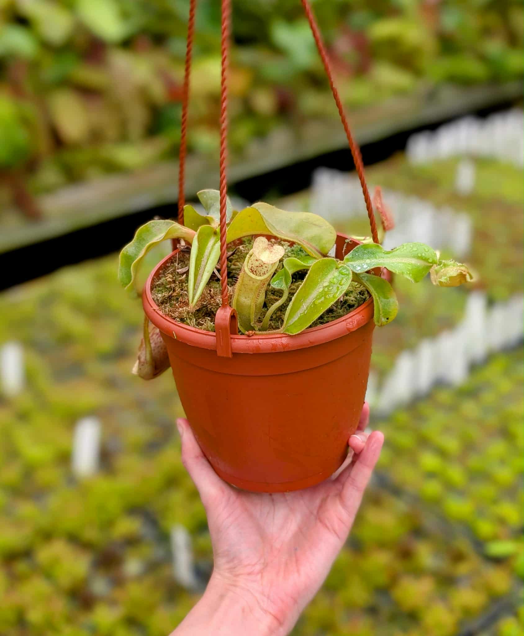 b313bbc5-8a00-4130-9089-f28b250f6185