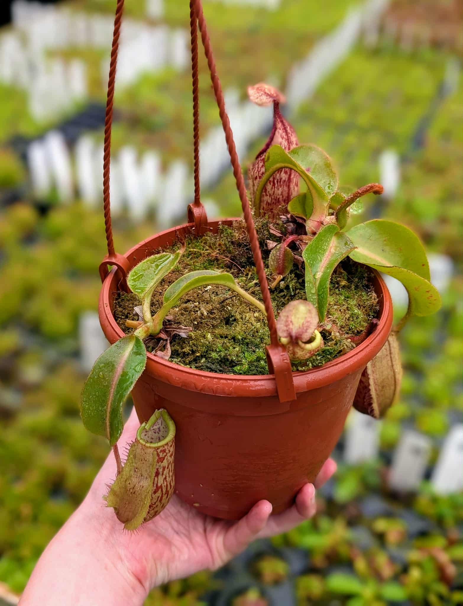 b8ad944b-839e-42ea-a985-2071ee5831f0