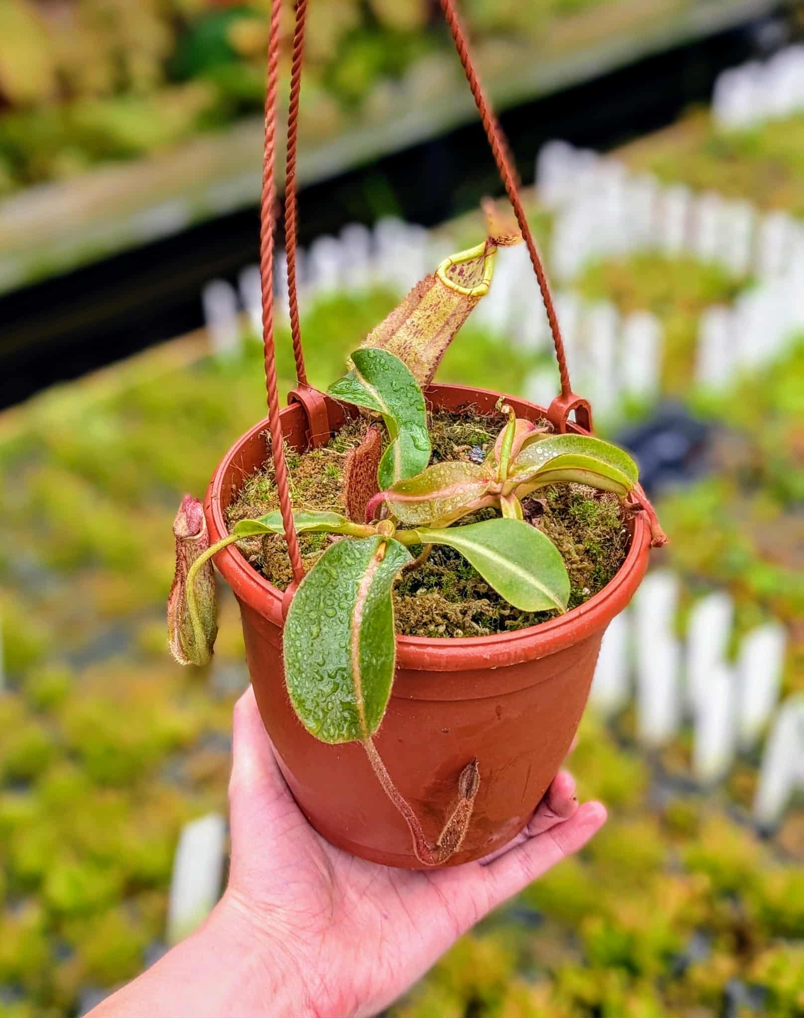 cd7555a4-2e4d-4d16-b3d5-4445d133b77d