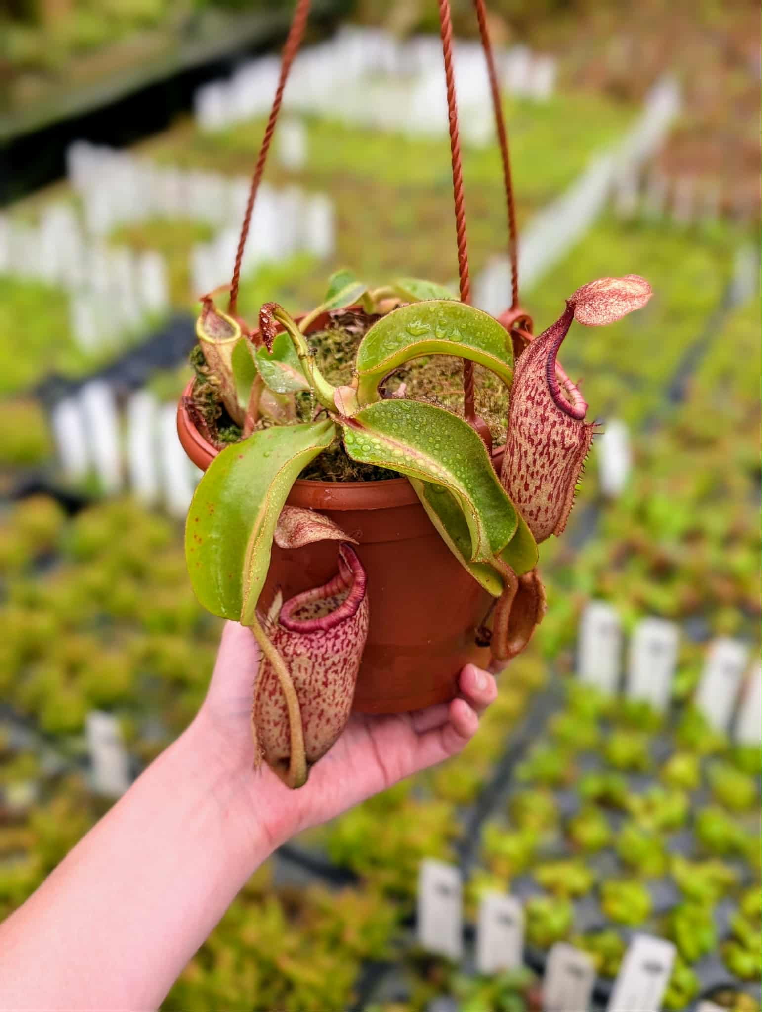 d38c124b-3dff-4e23-a491-867498dce529