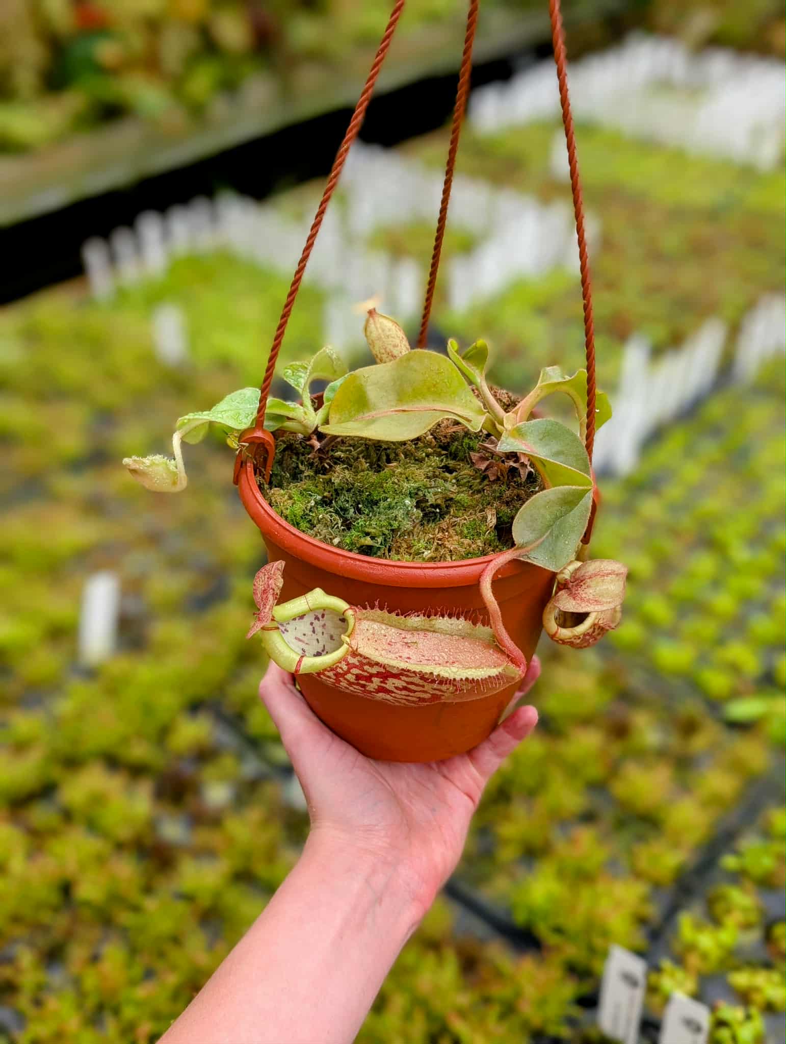 da7aa9e7-088e-4cc2-bc20-162ff4011ba6