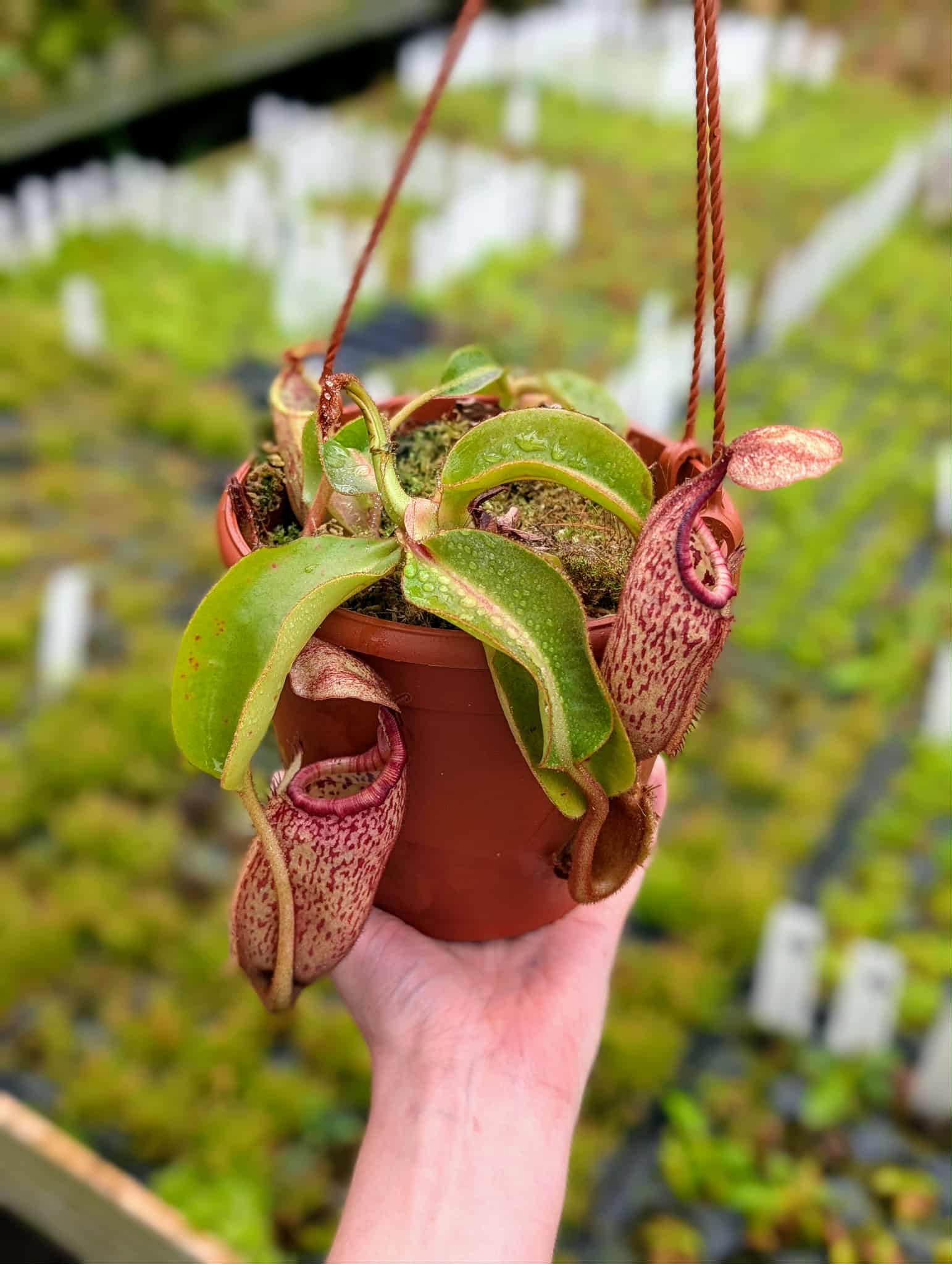 df7fe151-19a0-4269-88b9-be64b14fe9a2