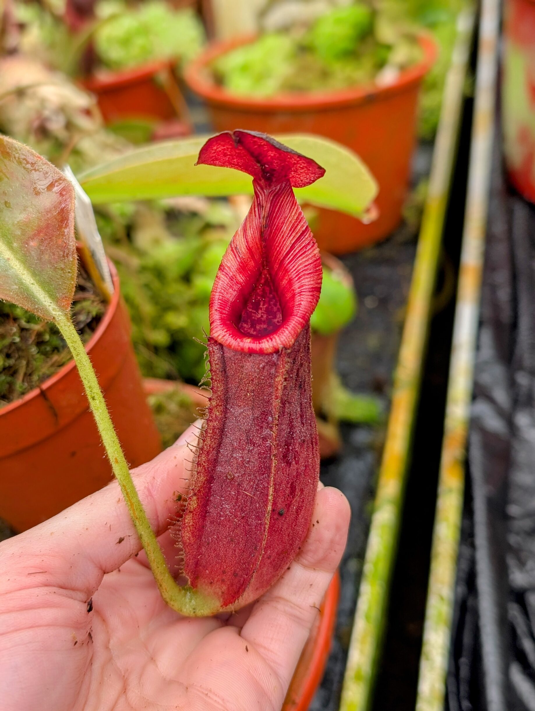 PXL_20251027_092345066.PORTRAIT~2