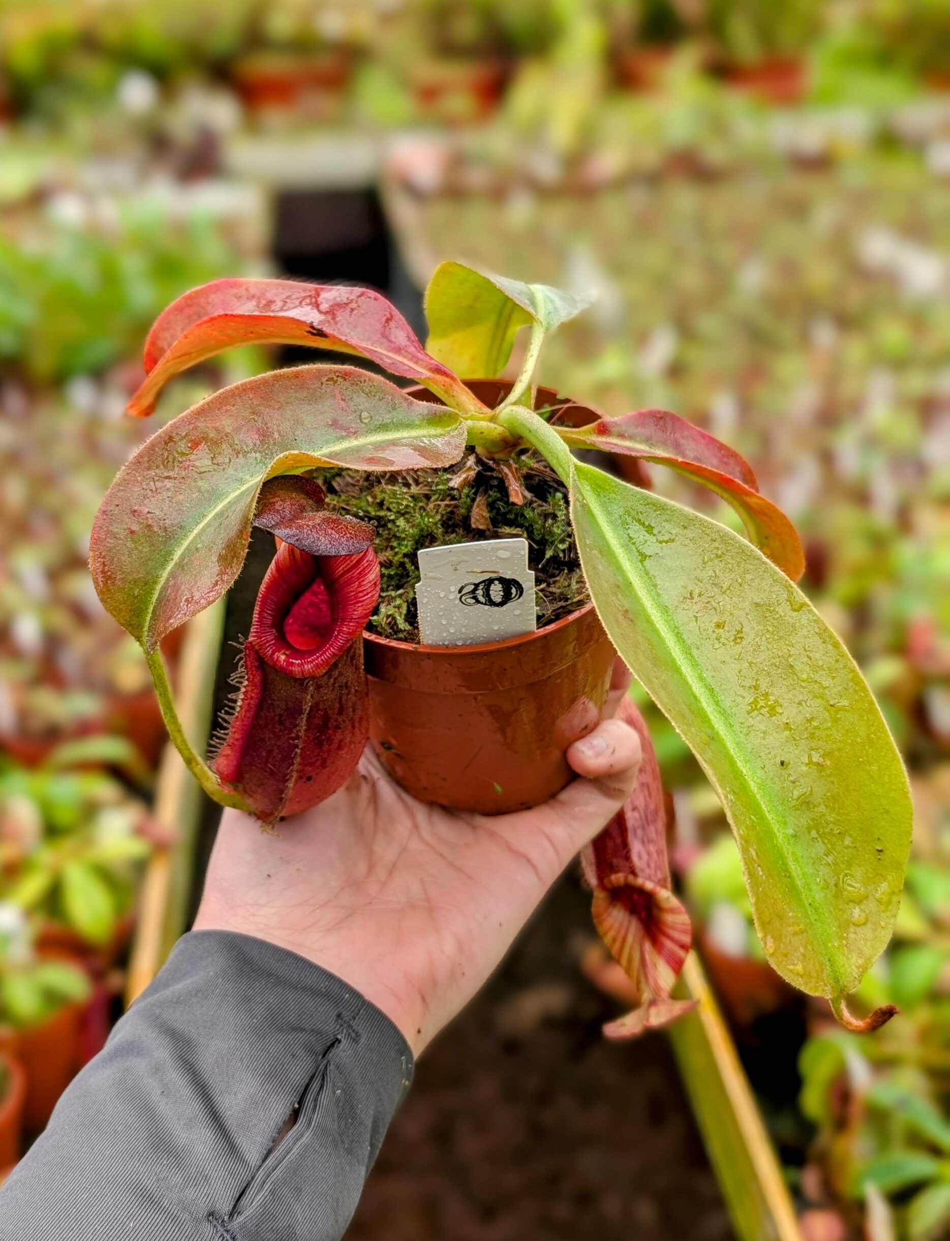 PXL_20251027_092416038.PORTRAIT~2