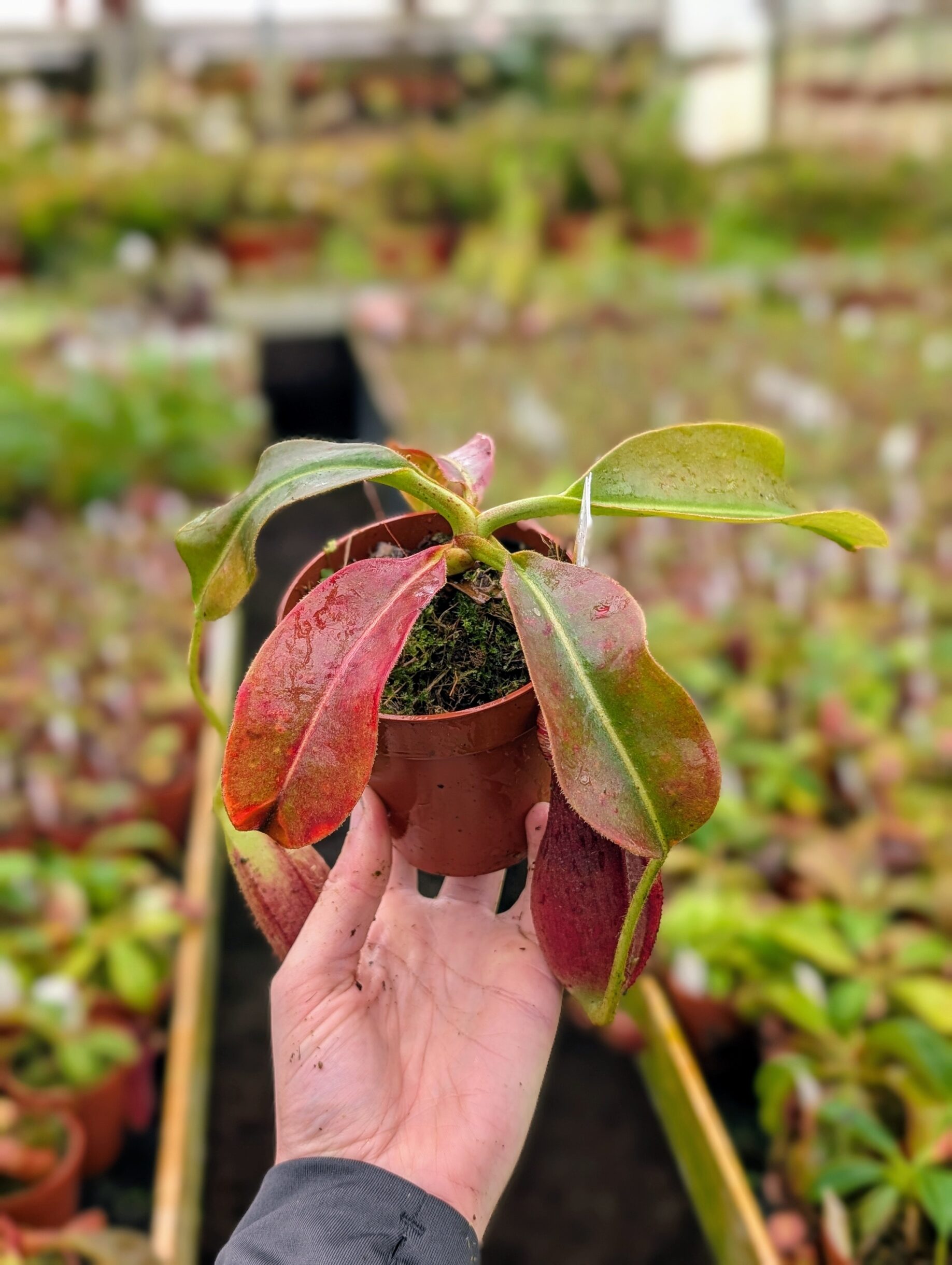 PXL_20251027_092421421.PORTRAIT~2