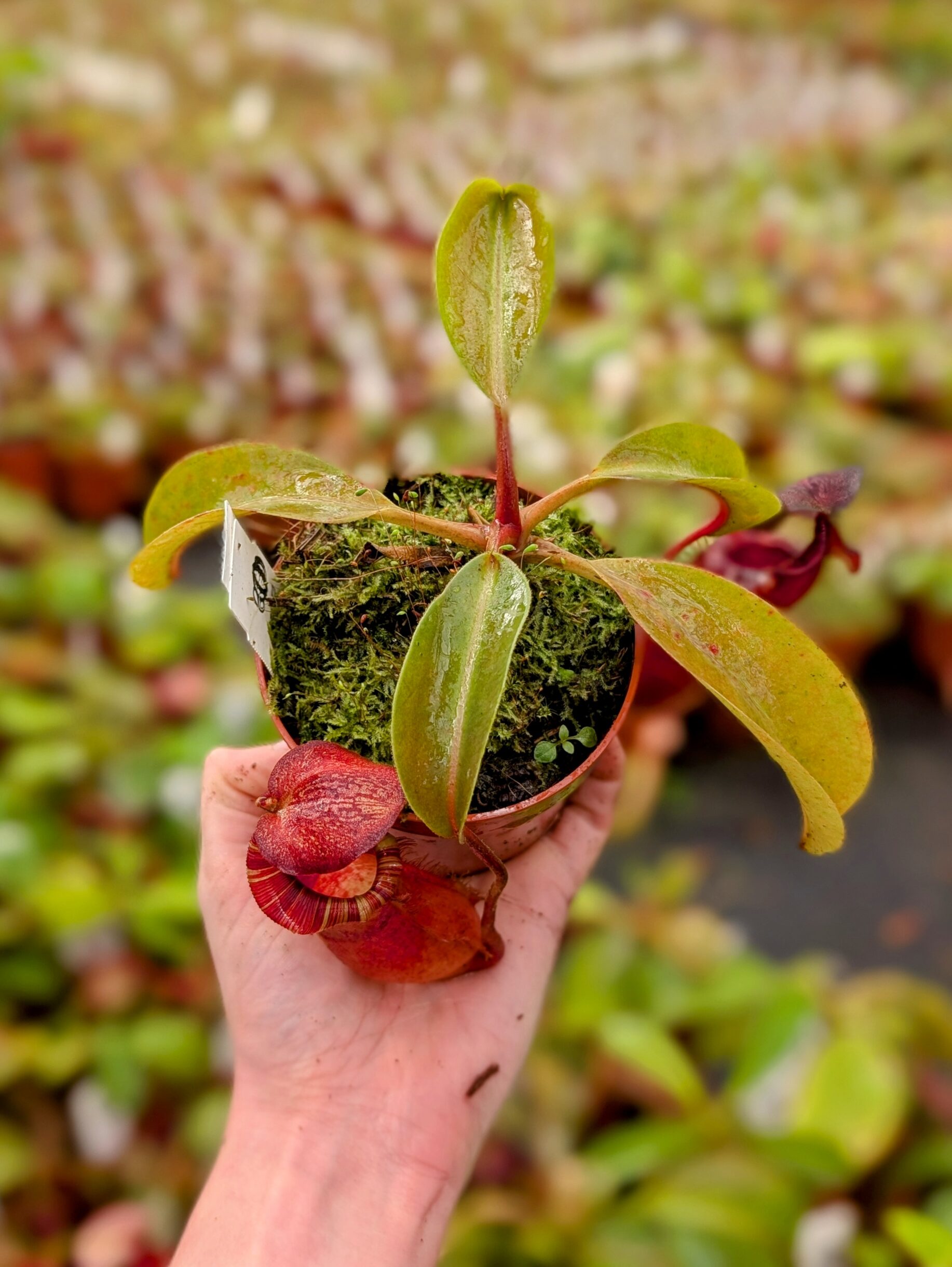 PXL_20251027_094834824.PORTRAIT~2