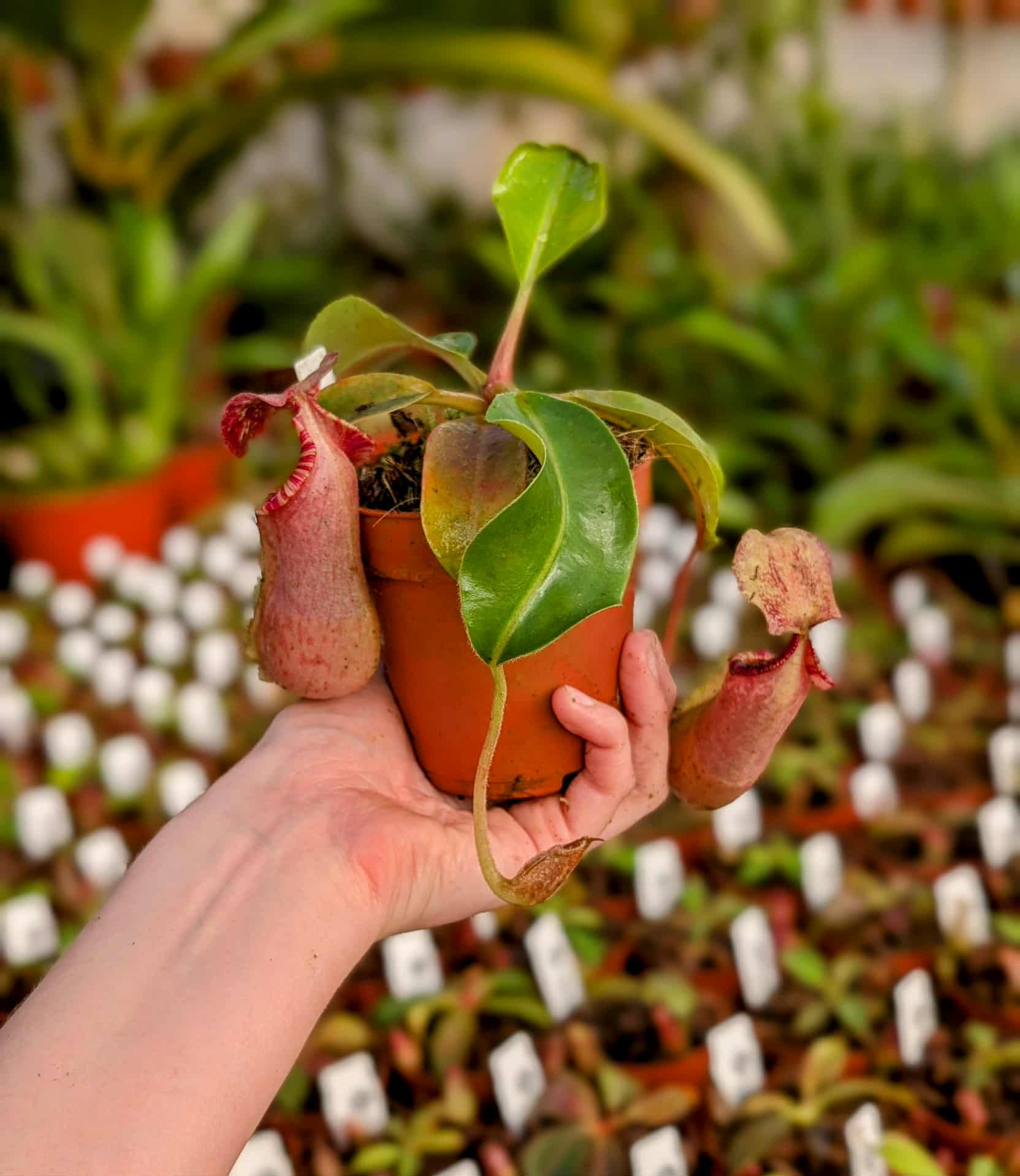 4122f345-bf21-48de-a0b2-b7c040e69eff