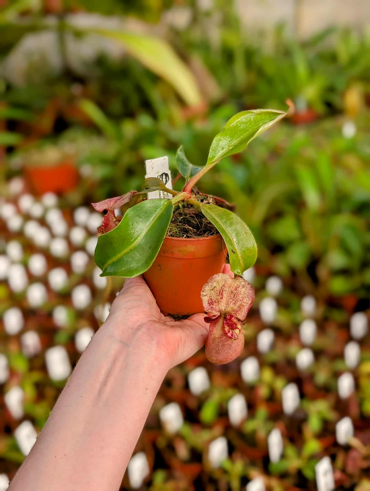 44ee3b75-7f3c-45c3-8c05-3ed113a85b9a