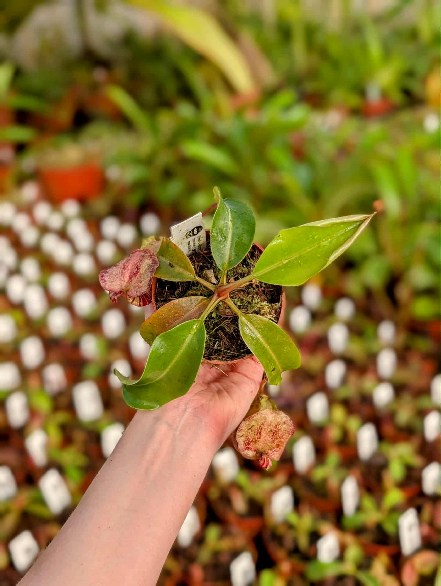 535e9f2c-eac7-48bf-865e-6cb1d93b161a