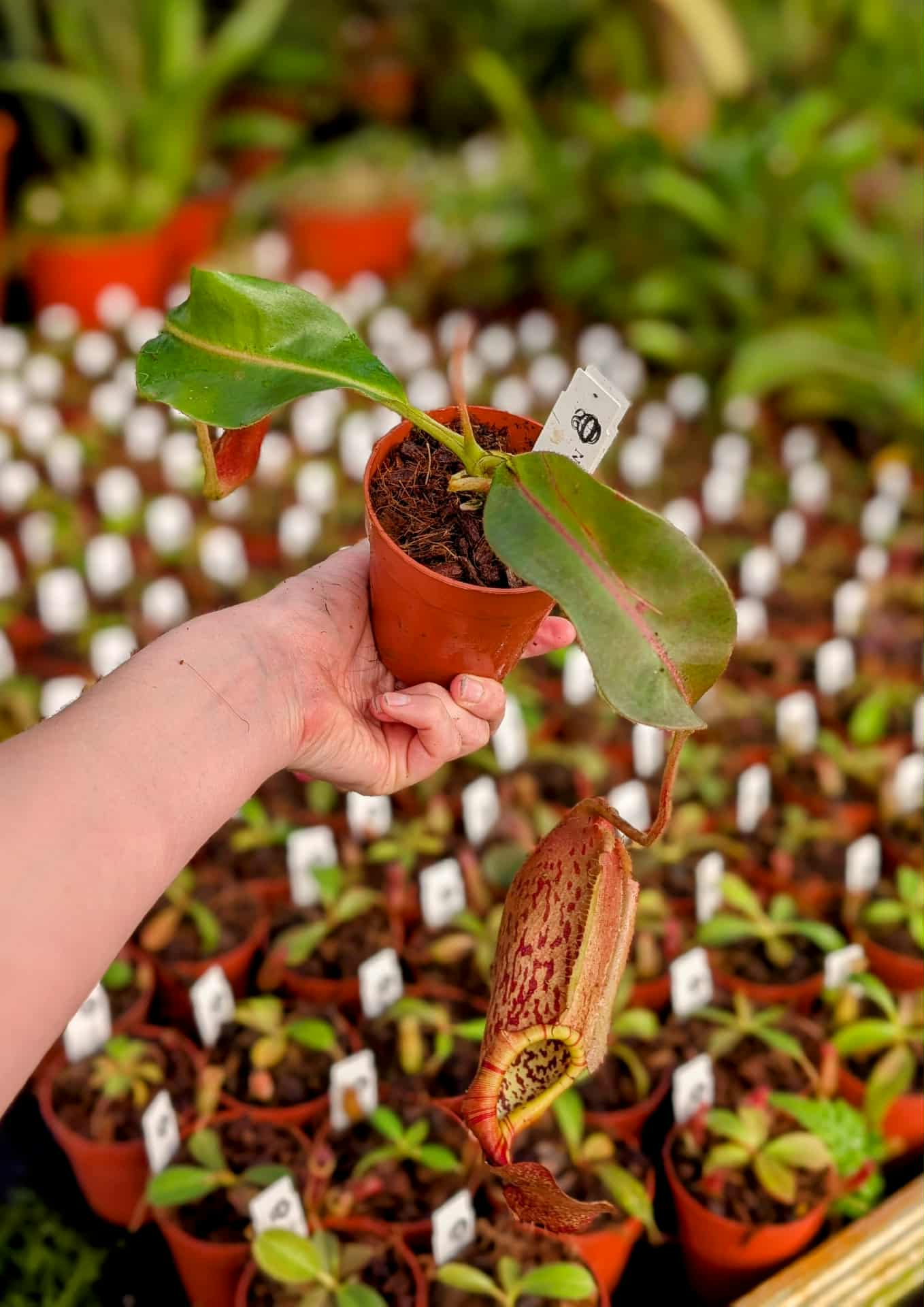 541e2a36-f975-4790-bdc4-18b5d284dc91