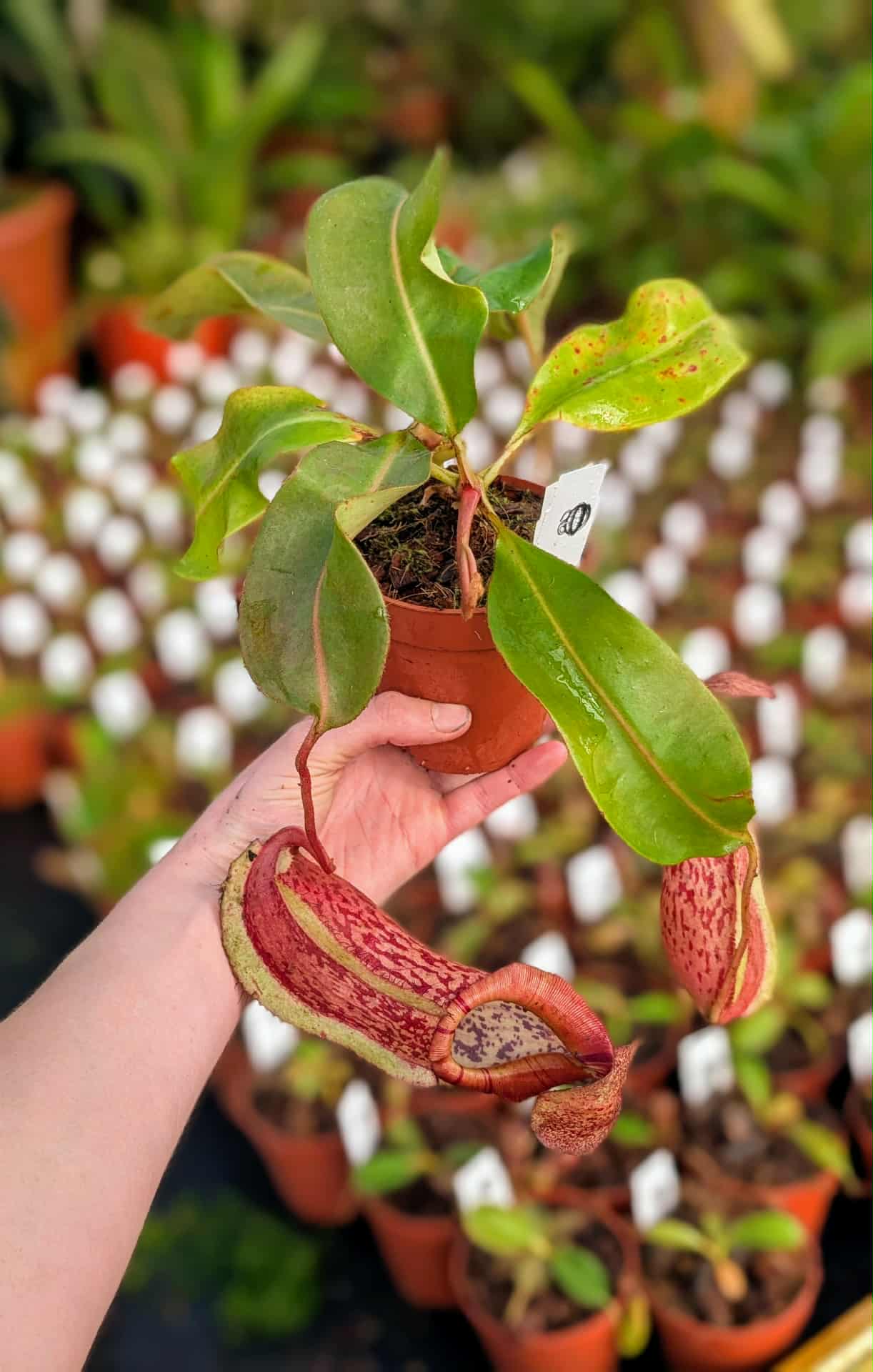 6afc3cd0-2c86-4c11-b1ff-11e2c87ef342