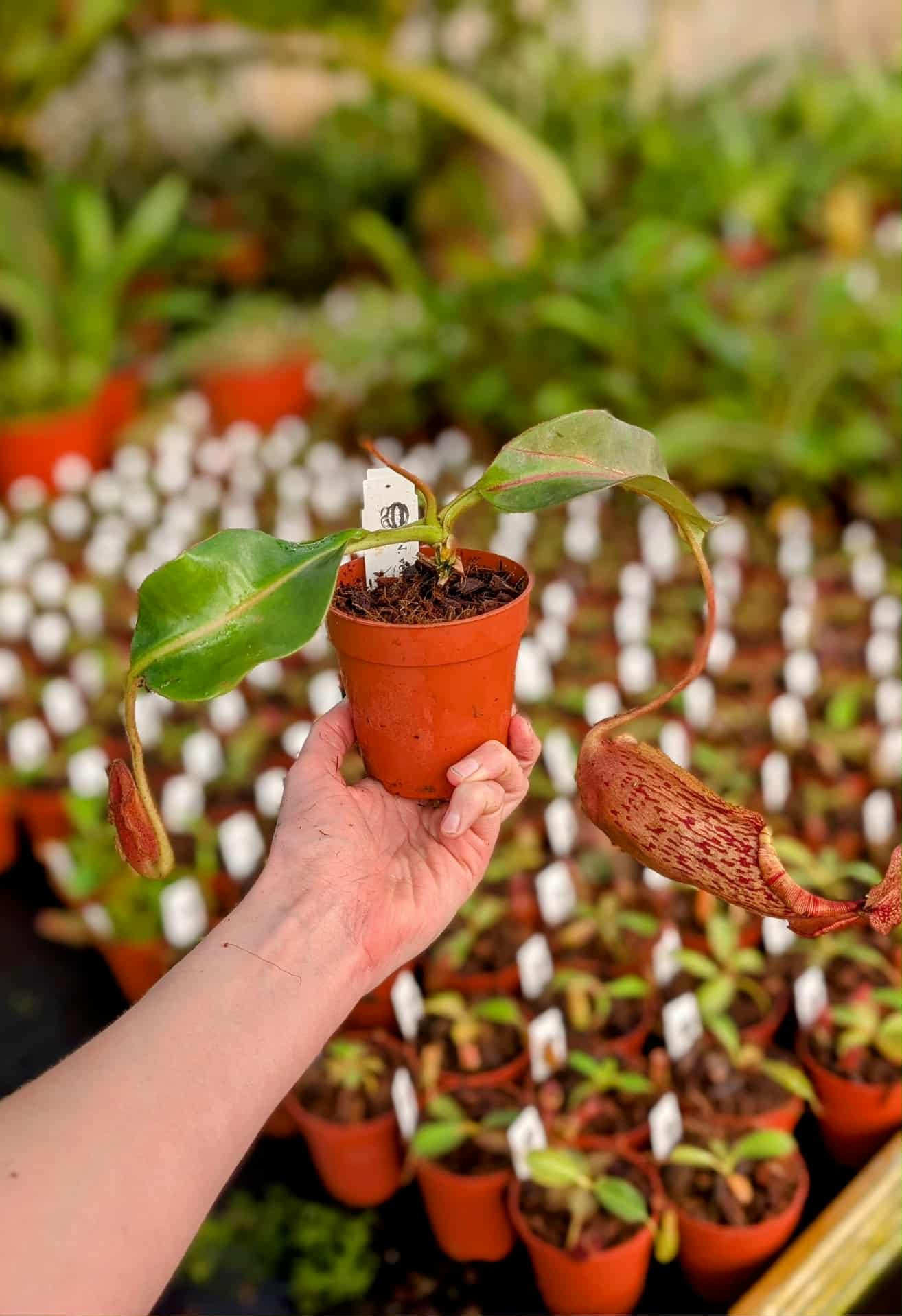 c38480c7-ab12-422d-ad2f-0a405c7864af