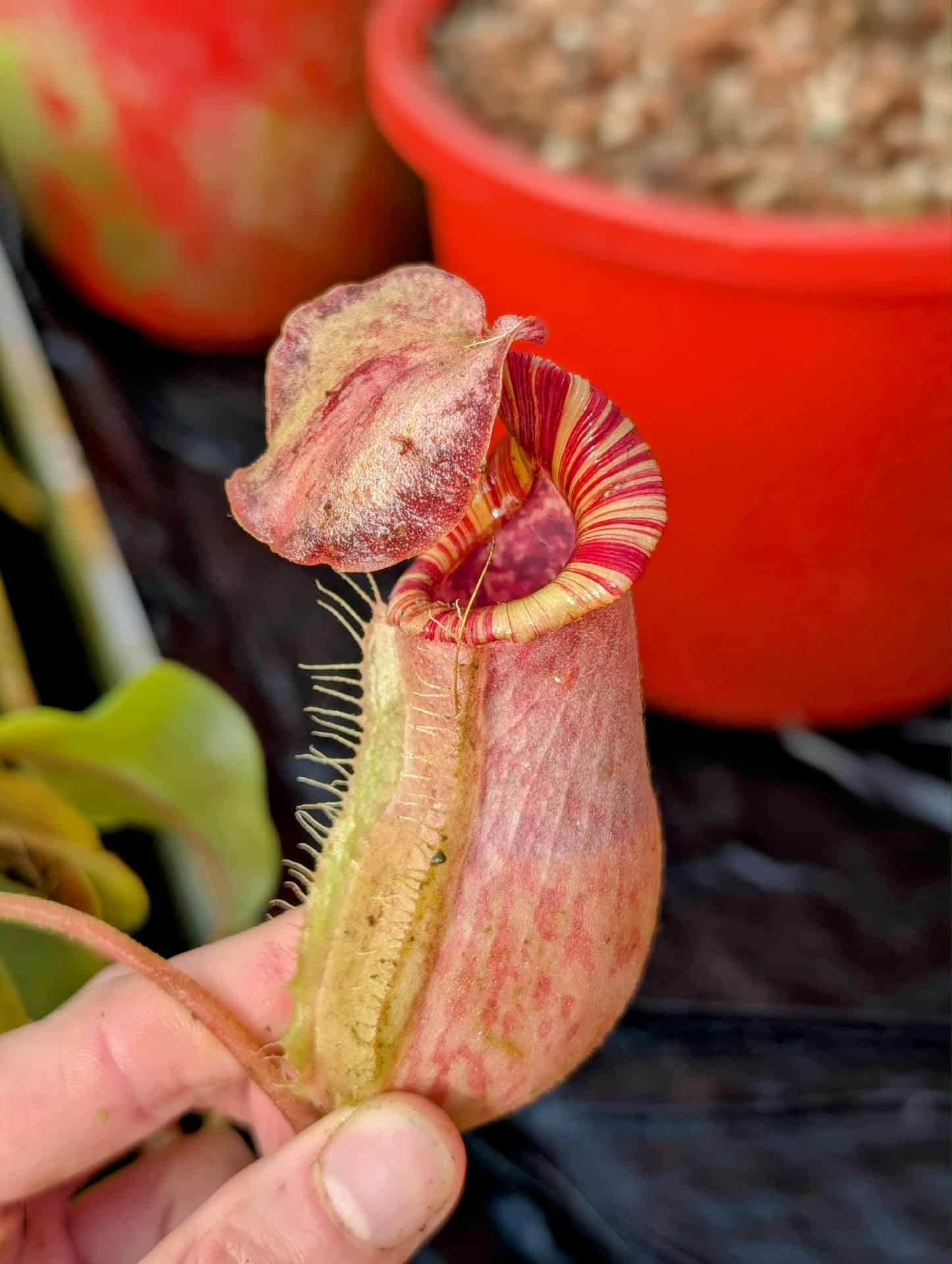 f08157f7-5a3b-4353-85c0-8dcb93847ab7