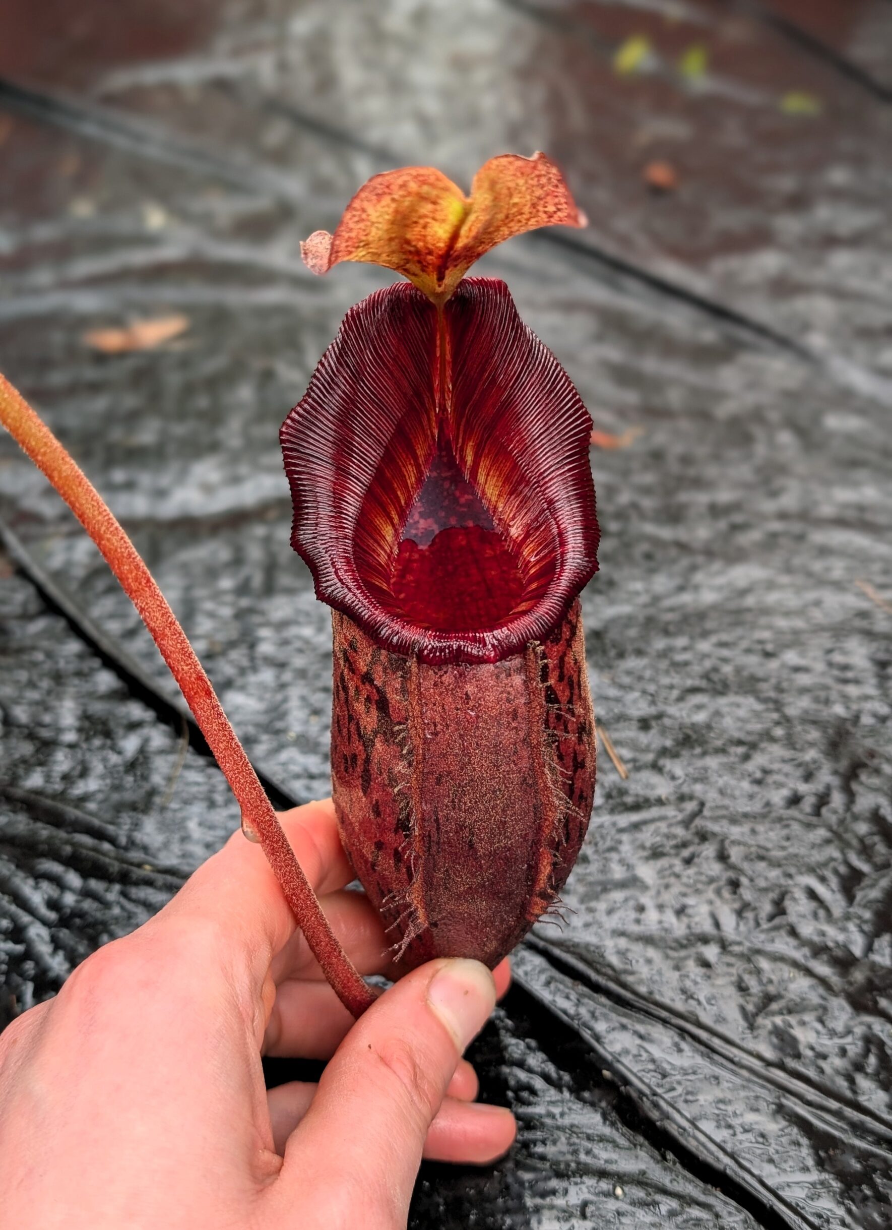 PXL_20260217_102825738.PORTRAIT