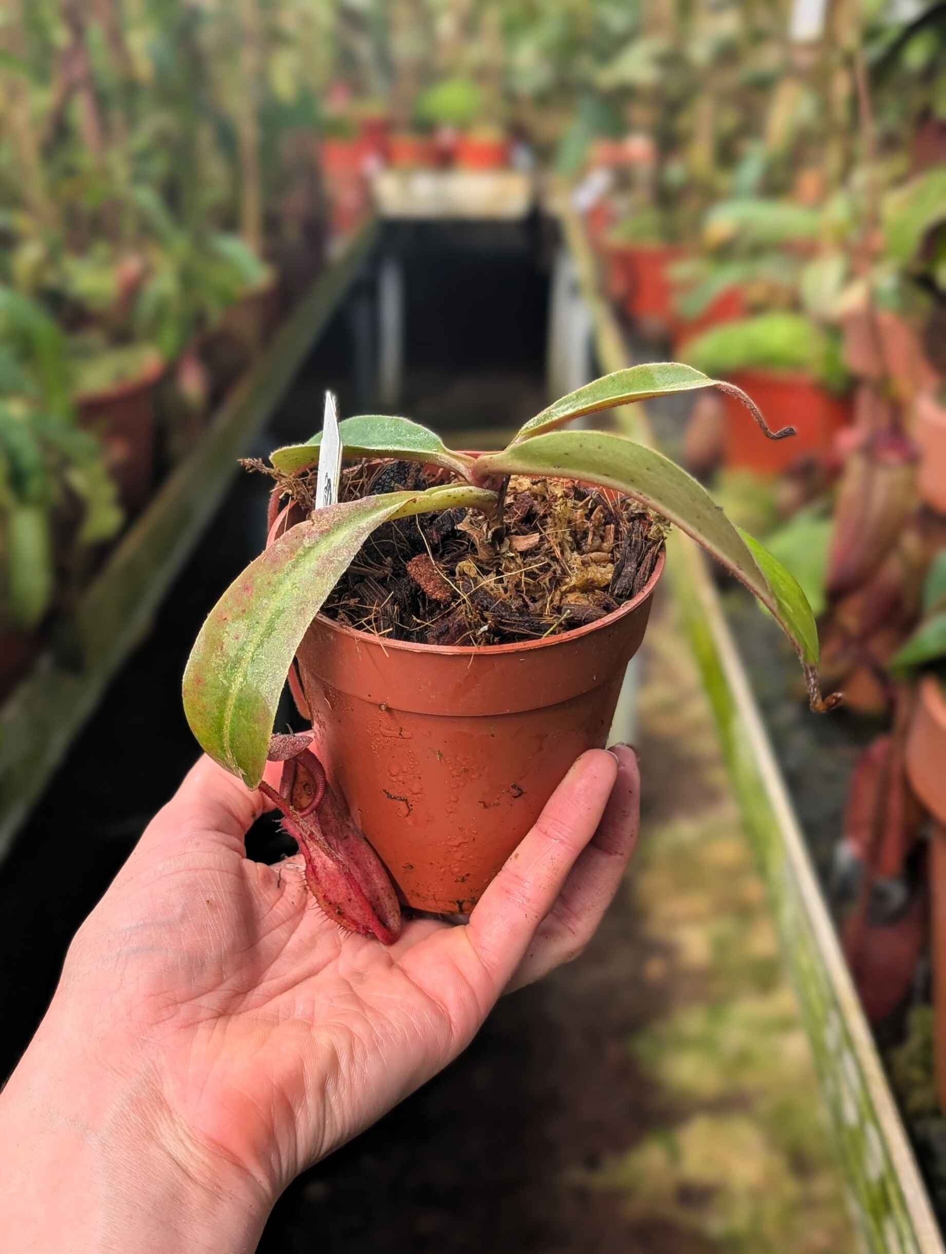 PXL_20260925_114205851.PORTRAIT